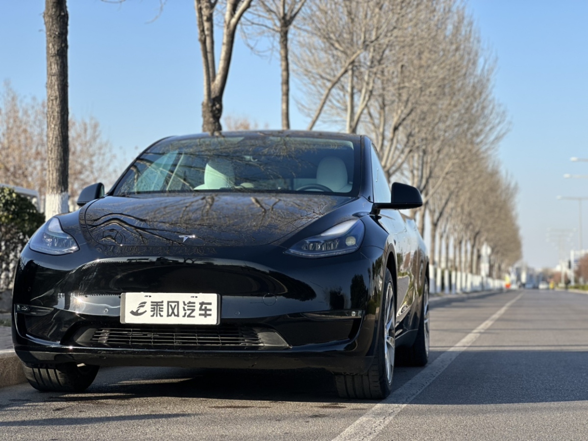 特斯拉 Model Y  2021款 標(biāo)準(zhǔn)續(xù)航后驅(qū)版圖片