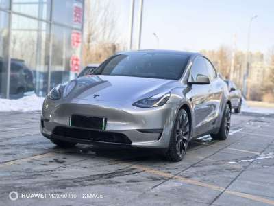 2022年6月 特斯拉 Model Y Performance高性能全輪驅(qū)動版圖片