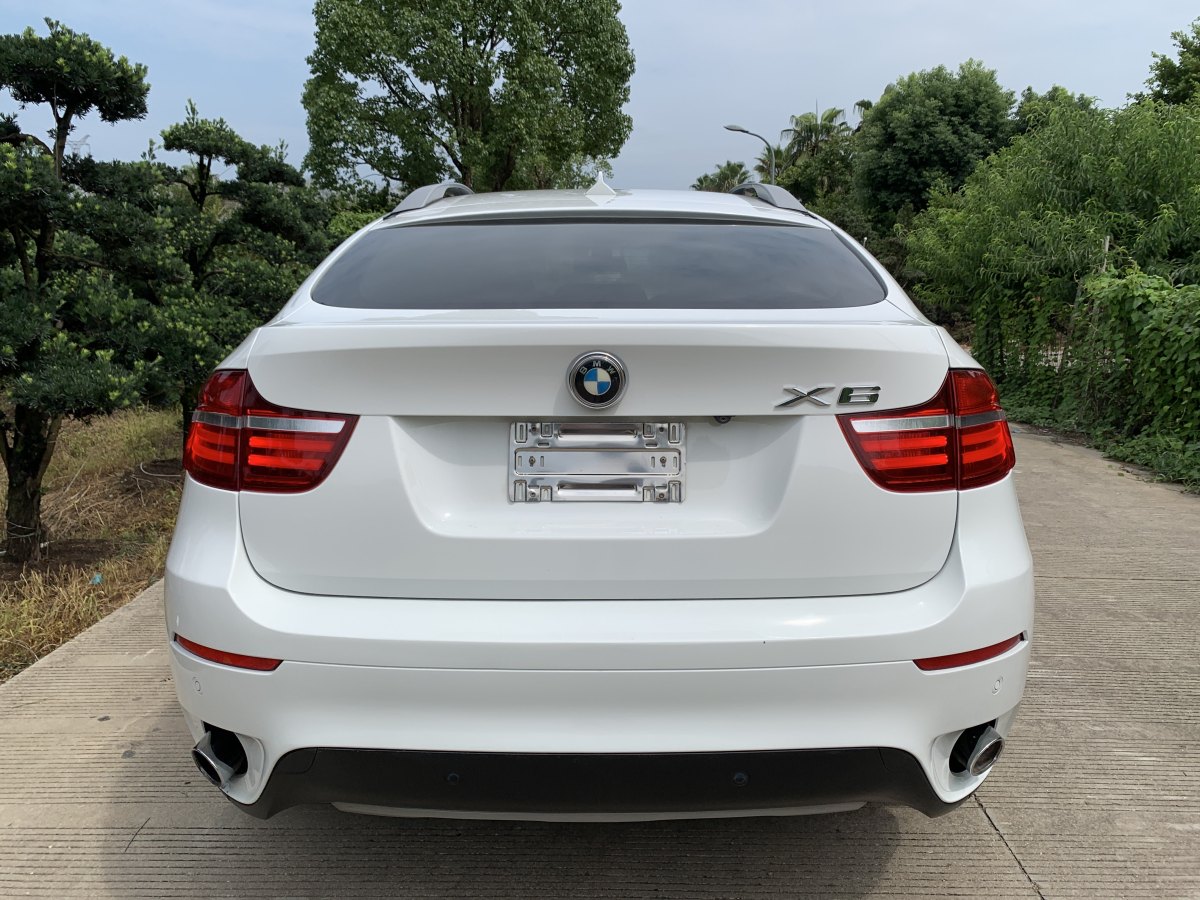 宝马 宝马X6  2013款 xDrive35i图片