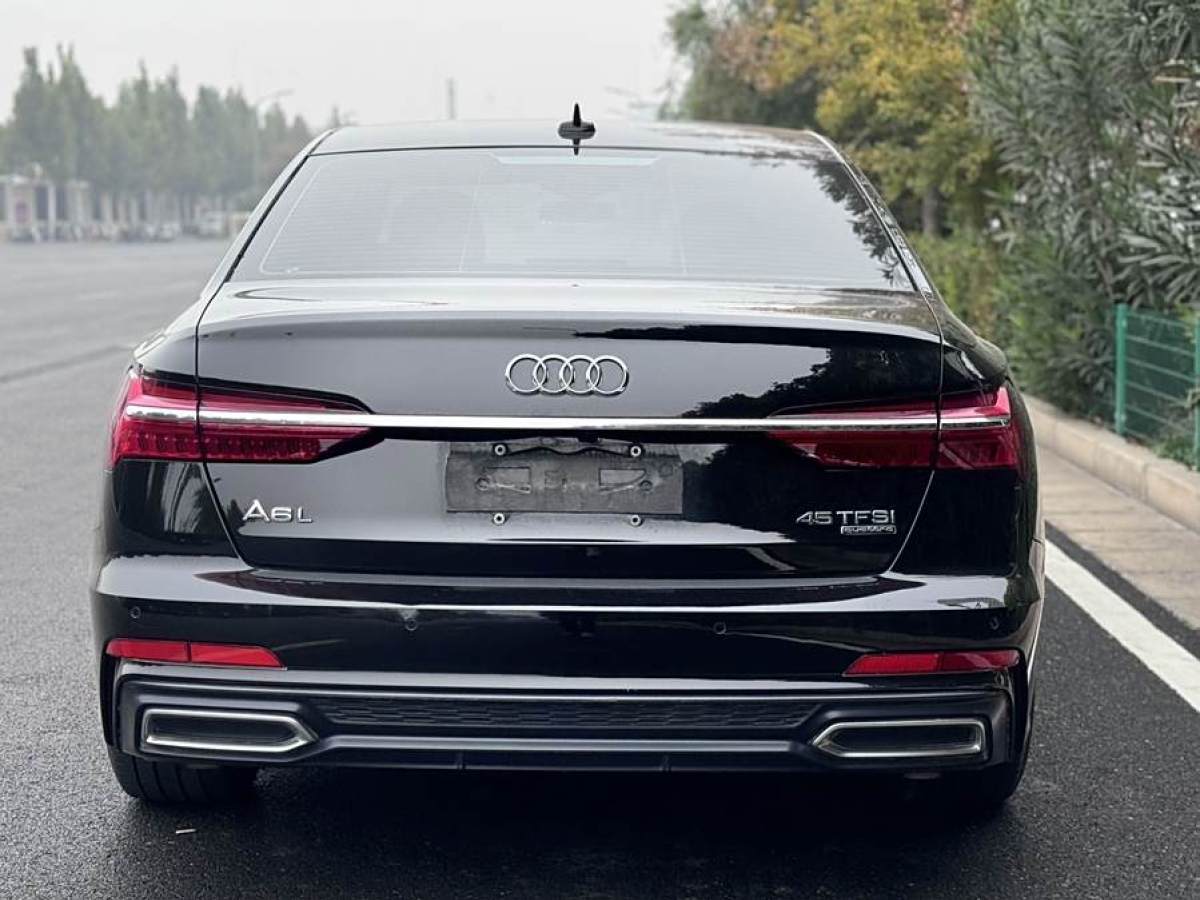 奥迪 奥迪A6L  2021款 45 TFSI quattro 臻选致雅型图片