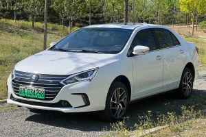秦 比亞迪 秦EV450 智聯(lián)尊尚型