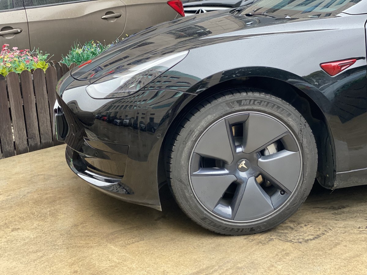 特斯拉 Model 3  2019款 標(biāo)準(zhǔn)續(xù)航后驅(qū)升級(jí)版圖片