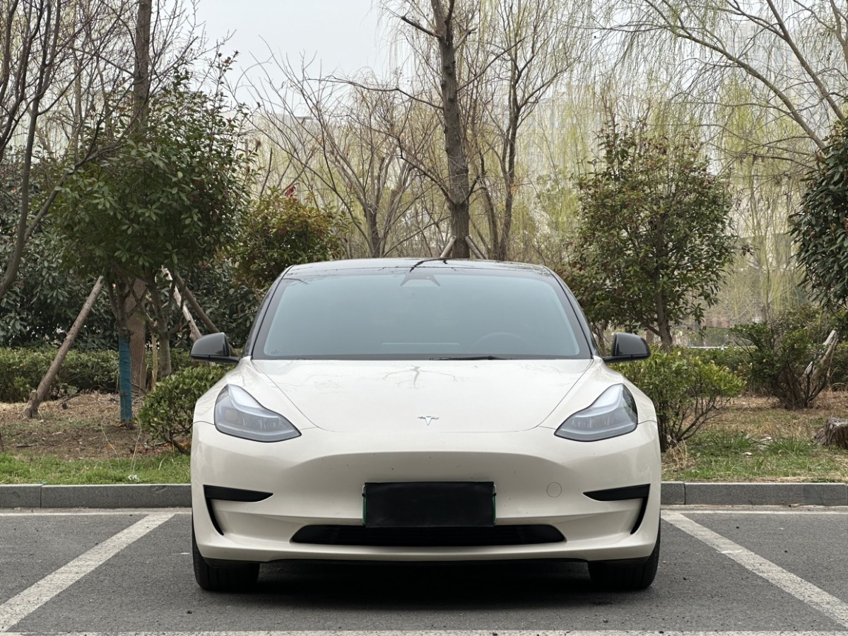 2021年09月特斯拉 Model 3  2021款 標(biāo)準(zhǔn)續(xù)航后驅(qū)升級版 3D6