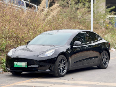 2020年11月 特斯拉 Model 3 改款 標(biāo)準(zhǔn)續(xù)航后驅(qū)升級版圖片