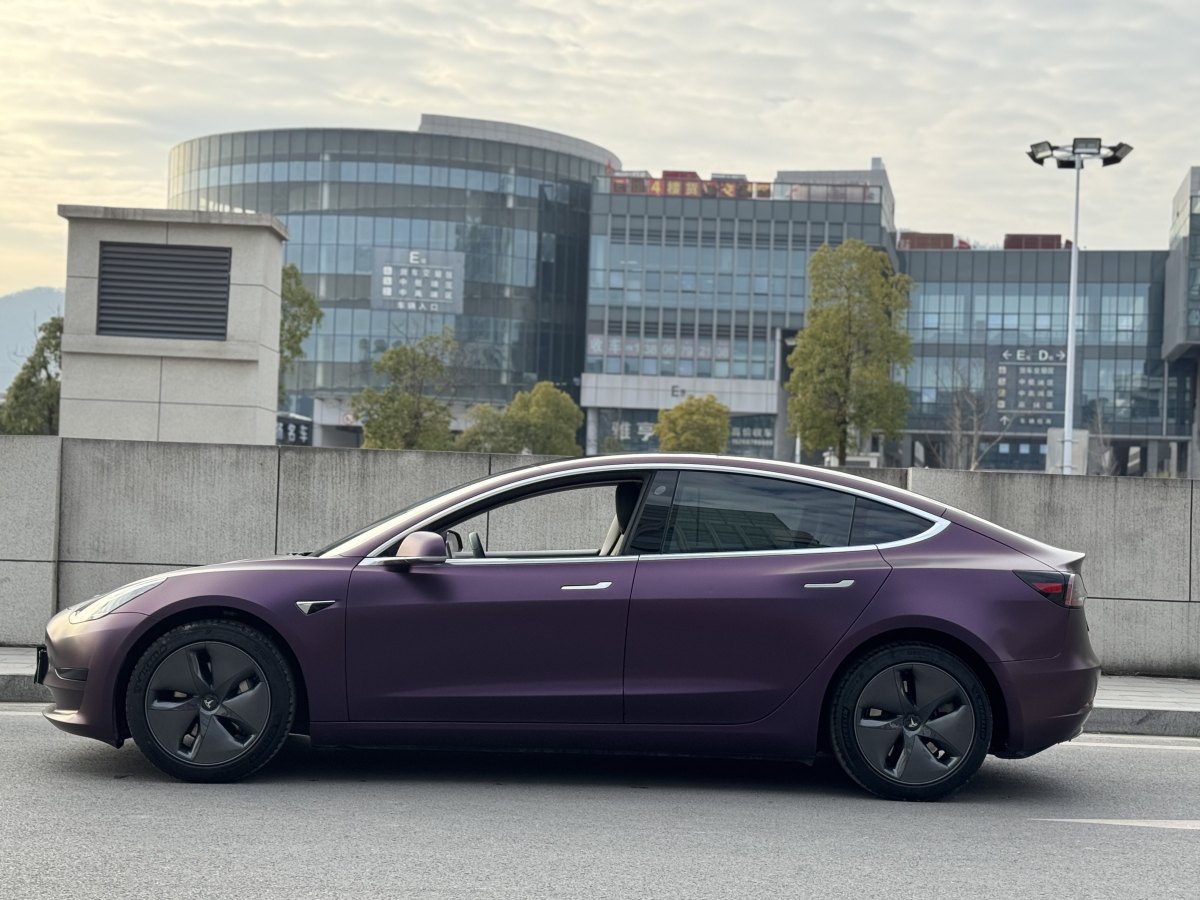 特斯拉 Model 3  2019款 標(biāo)準(zhǔn)續(xù)航后驅(qū)升級(jí)版圖片