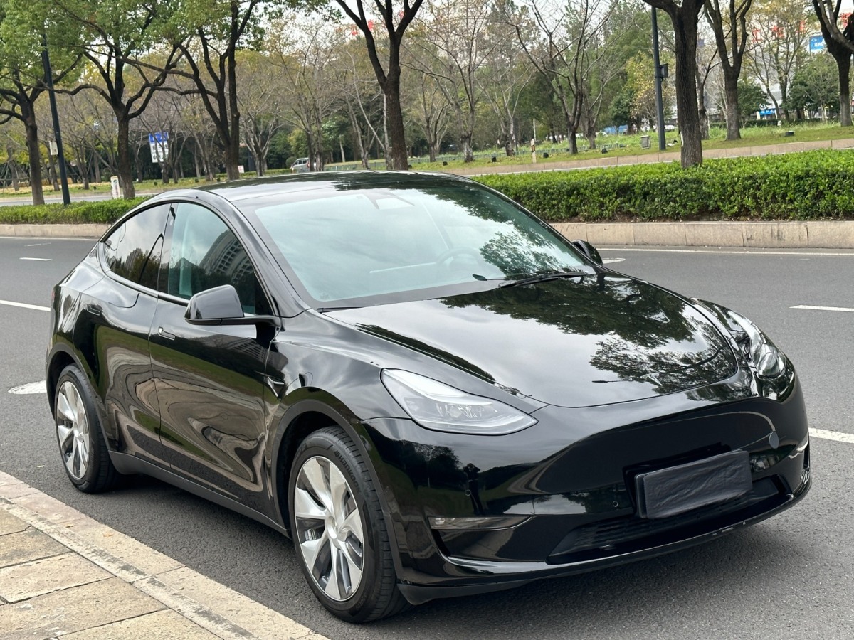 特斯拉 Model Y 長(zhǎng)續(xù)航全輪驅(qū)動(dòng)版圖片