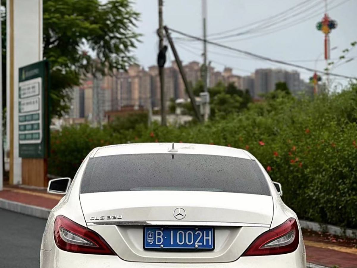 奔驰 奔驰CLS级  2015款 CLS 320图片