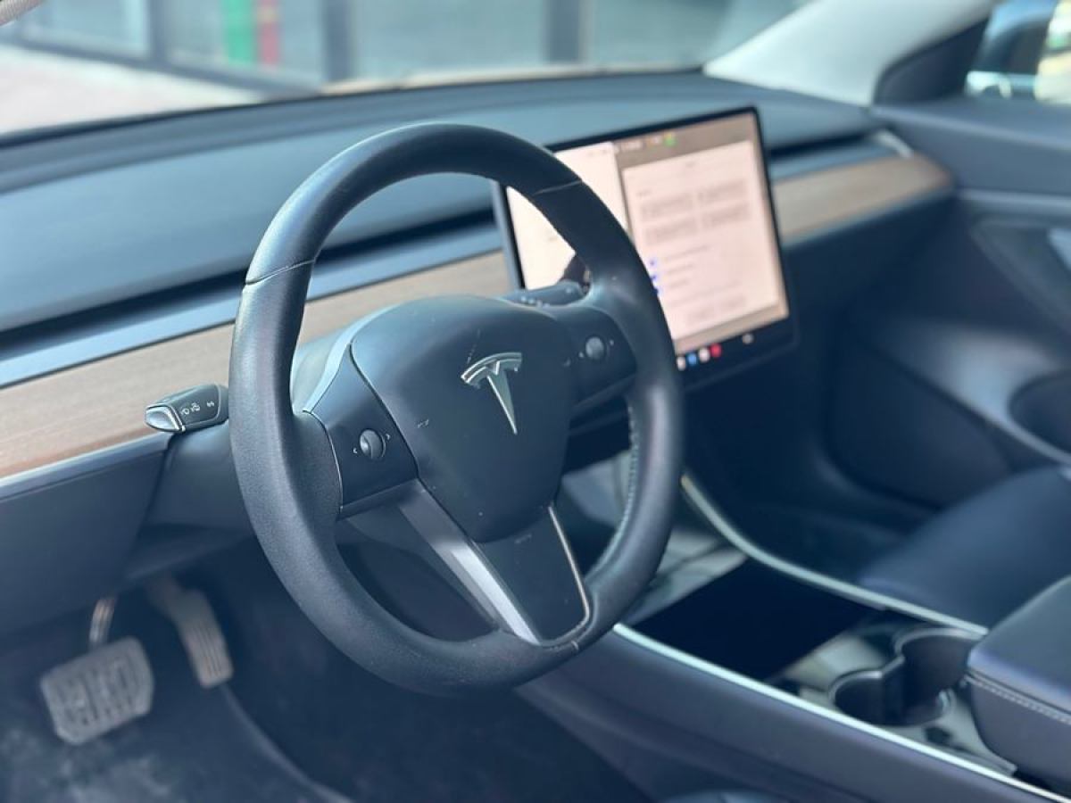 特斯拉 Model 3  2019款 標(biāo)準(zhǔn)續(xù)航后驅(qū)升級版圖片