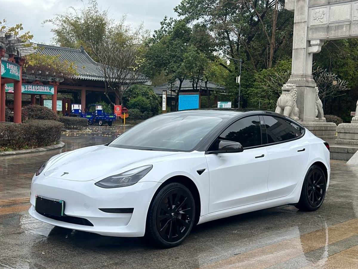 2021年6月特斯拉 Model 3  2021款 標(biāo)準(zhǔn)續(xù)航后驅(qū)升級版 3D6