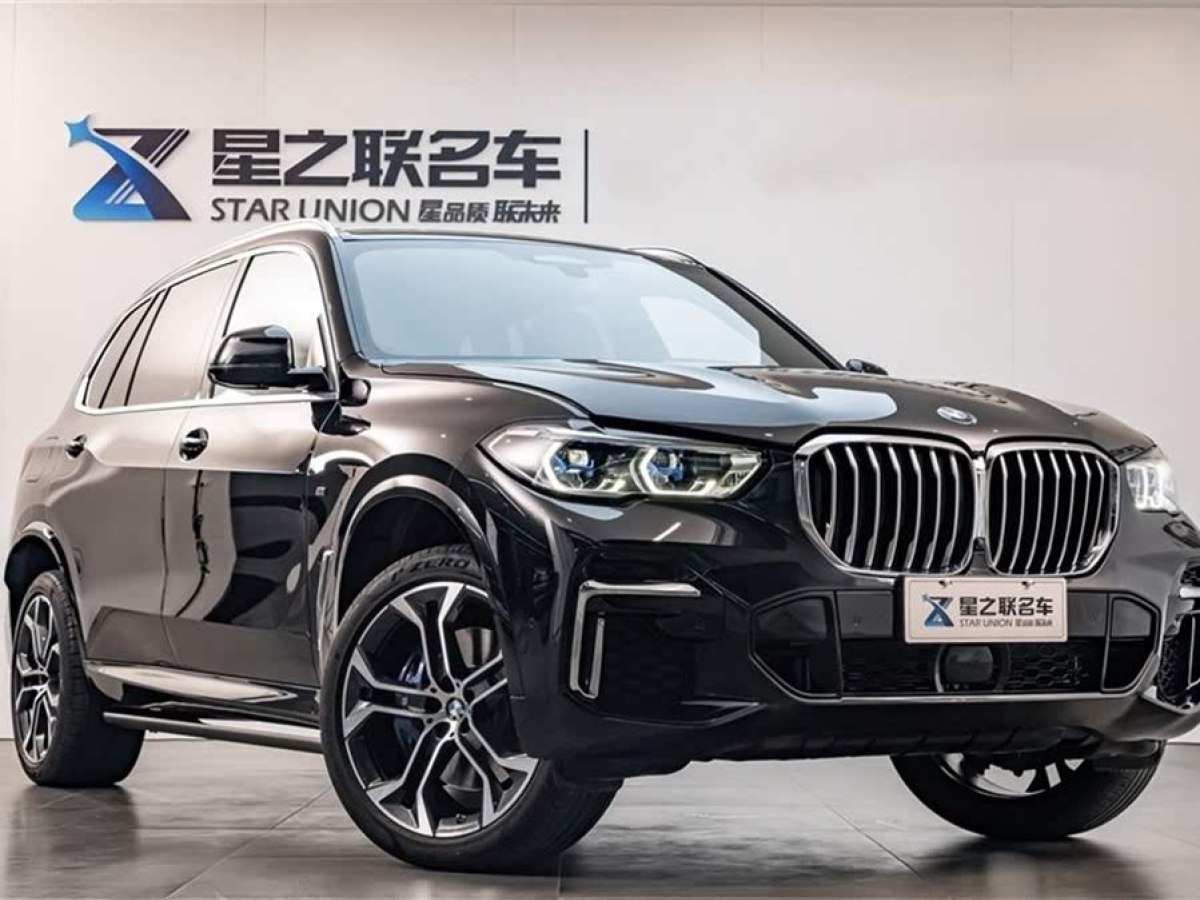 寶馬 寶馬X5  2022款 改款 xDrive 40Li 尊享型M運(yùn)動(dòng)套裝圖片
