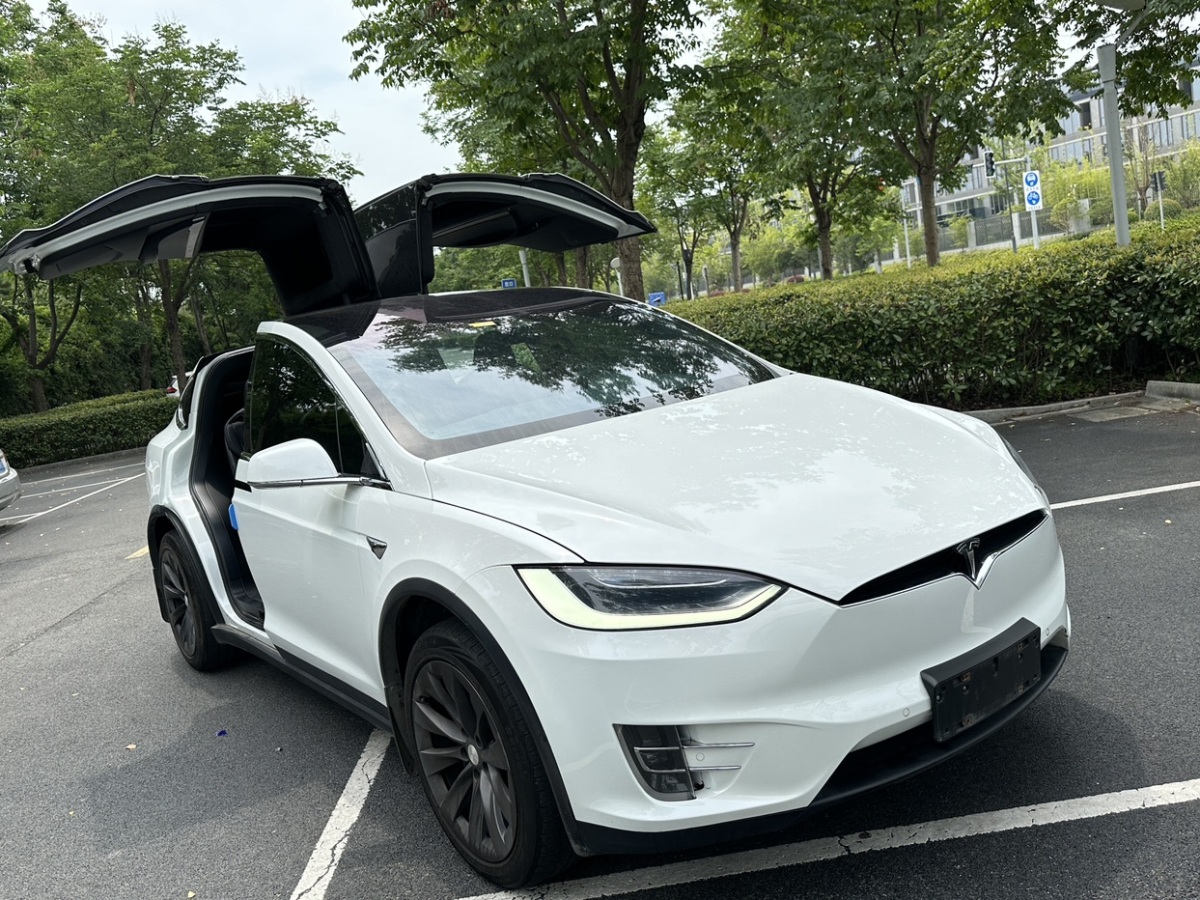 2018年07月特斯拉 Model X  2017款 Model X 100D 長續(xù)航版