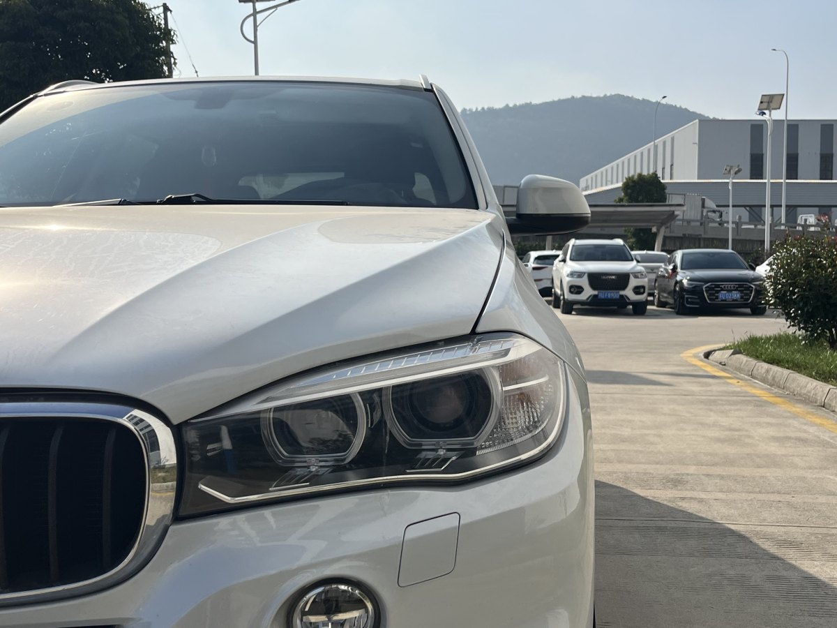 寶馬 寶馬X5  2017款 xDrive35i 典雅型圖片