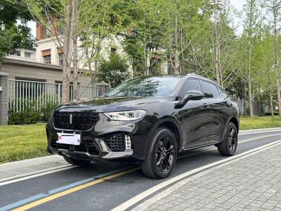 2019年10月 WEY VV5 1.5T 两驱颜先锋图片