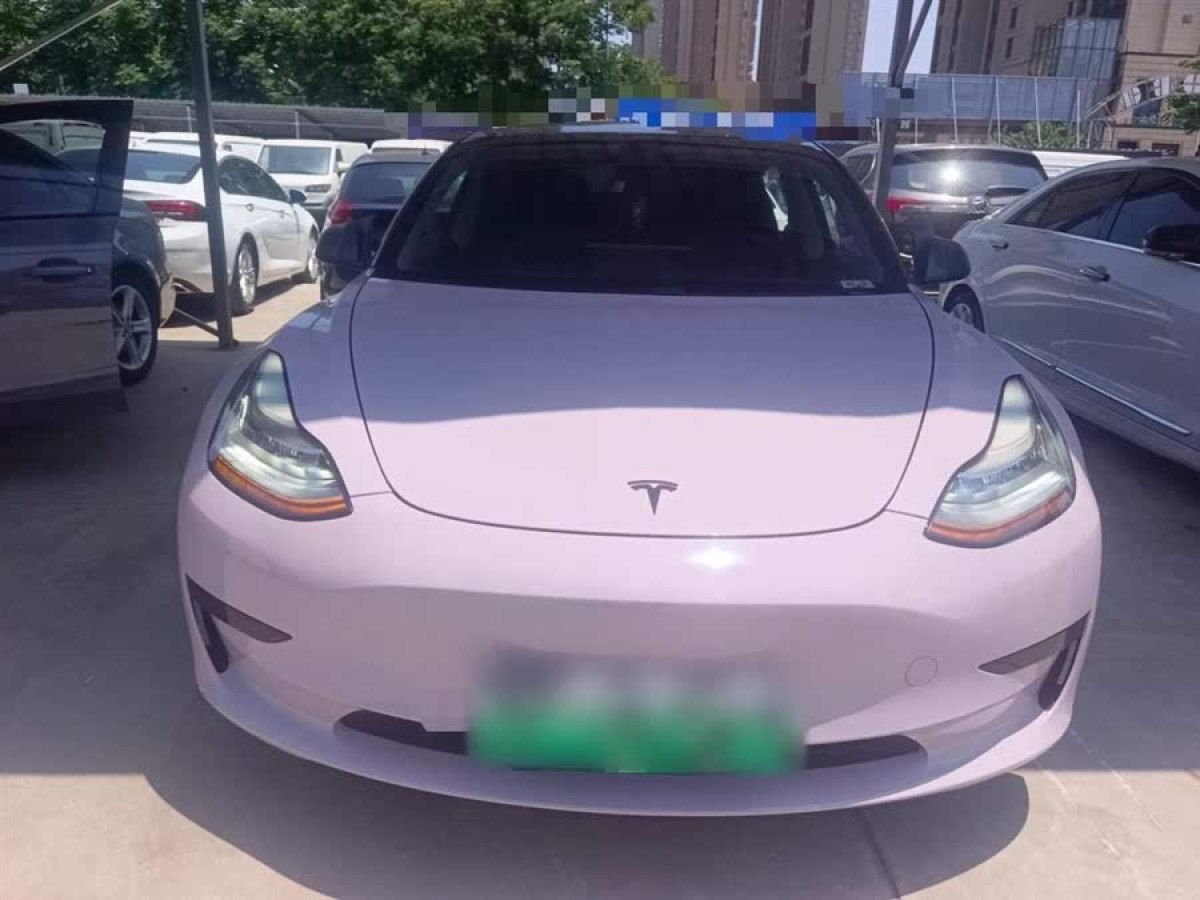 特斯拉 Model 3  2019款 標(biāo)準(zhǔn)續(xù)航后驅(qū)升級版圖片