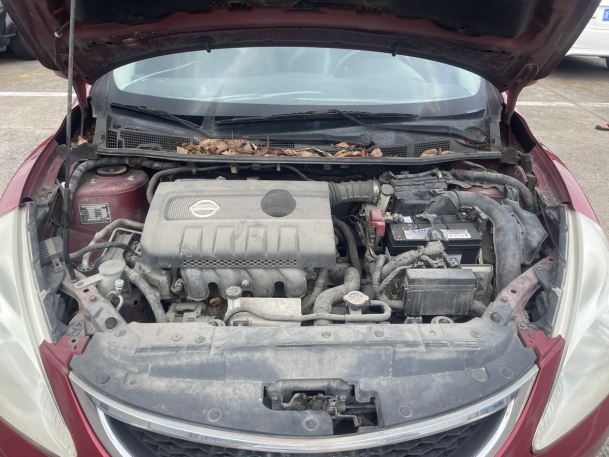 日產(chǎn) 騏達(dá)  2011款 1.6L CVT豪華型圖片