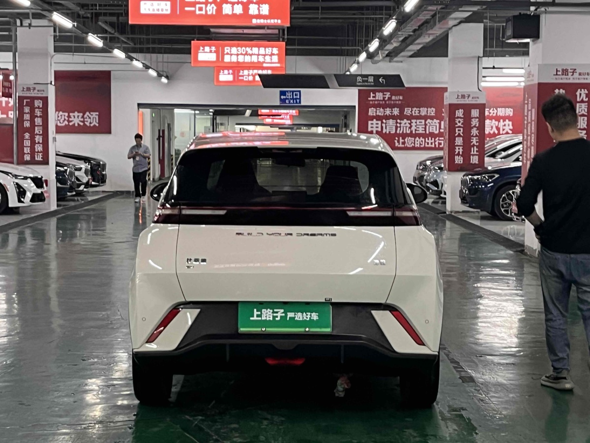 比亞迪 海鷗  2023款 自由版圖片