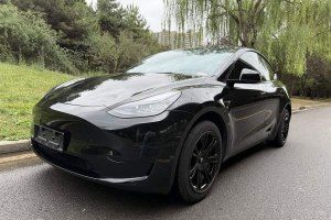 Model Y 特斯拉 改款 后輪驅(qū)動版