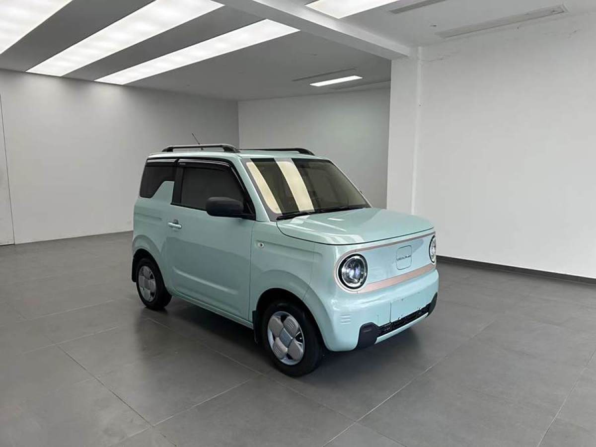 吉利 熊貓mini  2023款 200km 靈動熊圖片