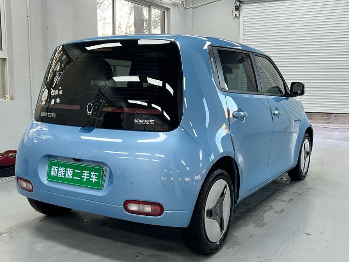 歐拉 歐拉白貓  2020款 360km 豪華型圖片