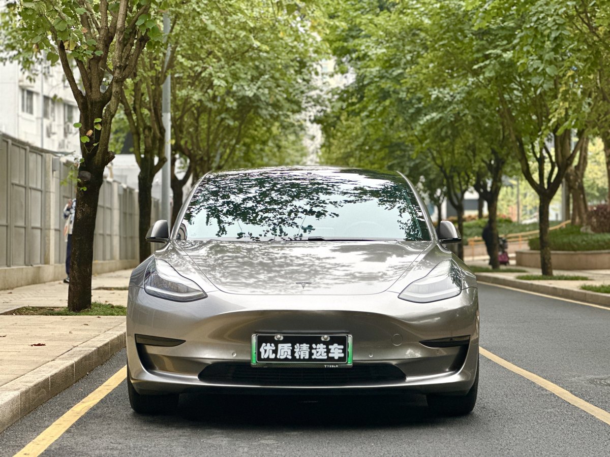 特斯拉 Model 3  2019款 標(biāo)準(zhǔn)續(xù)航后驅(qū)升級(jí)版圖片