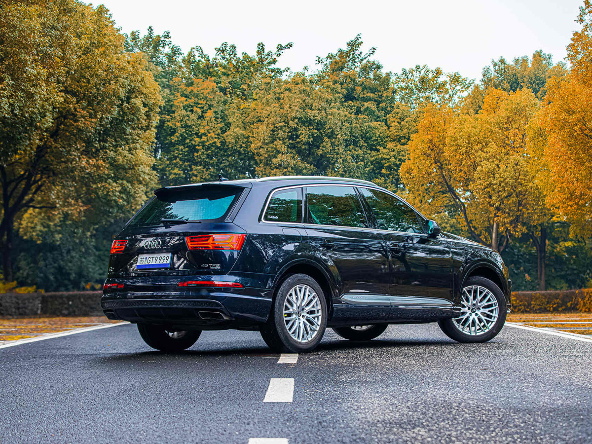 奧迪 奧迪Q7  2016款 45 TFSI S line運動型圖片