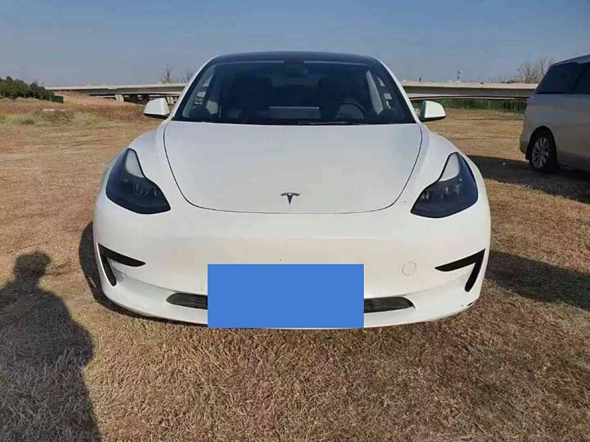 特斯拉 Model 3  2021款 改款 標(biāo)準(zhǔn)續(xù)航后驅(qū)升級(jí)版圖片