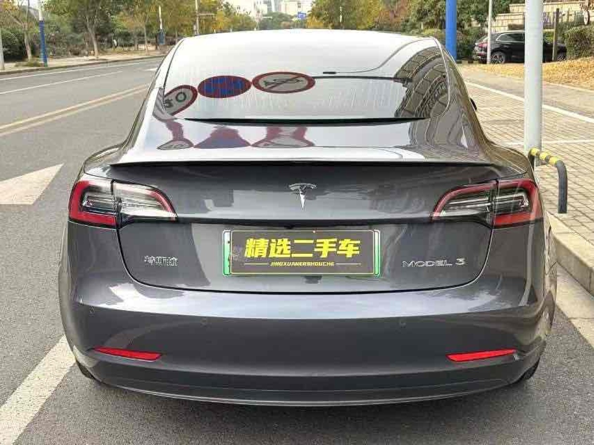 特斯拉 Model 3  2019款 標(biāo)準(zhǔn)續(xù)航后驅(qū)升級(jí)版圖片