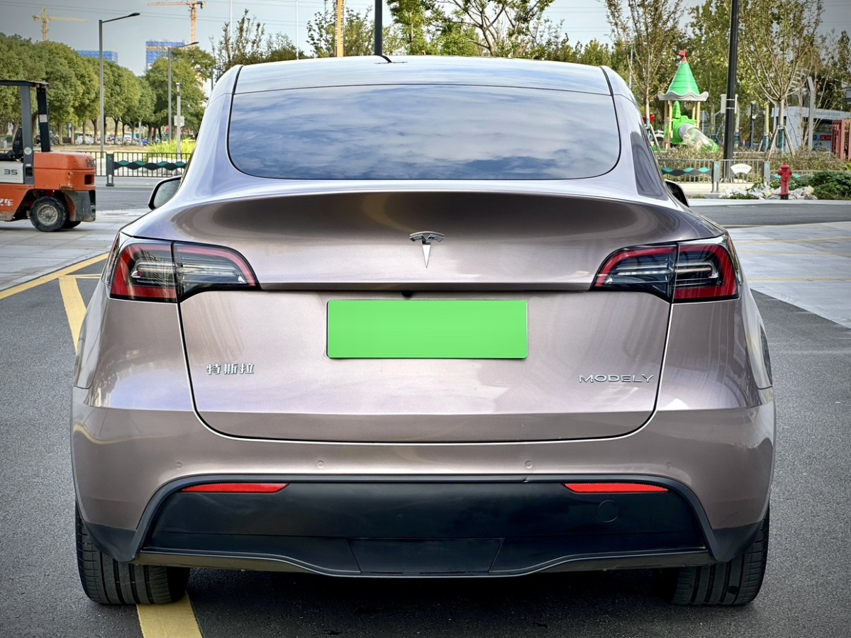 特斯拉 Model Y  2021款 改款 標(biāo)準(zhǔn)續(xù)航后驅(qū)升級版圖片