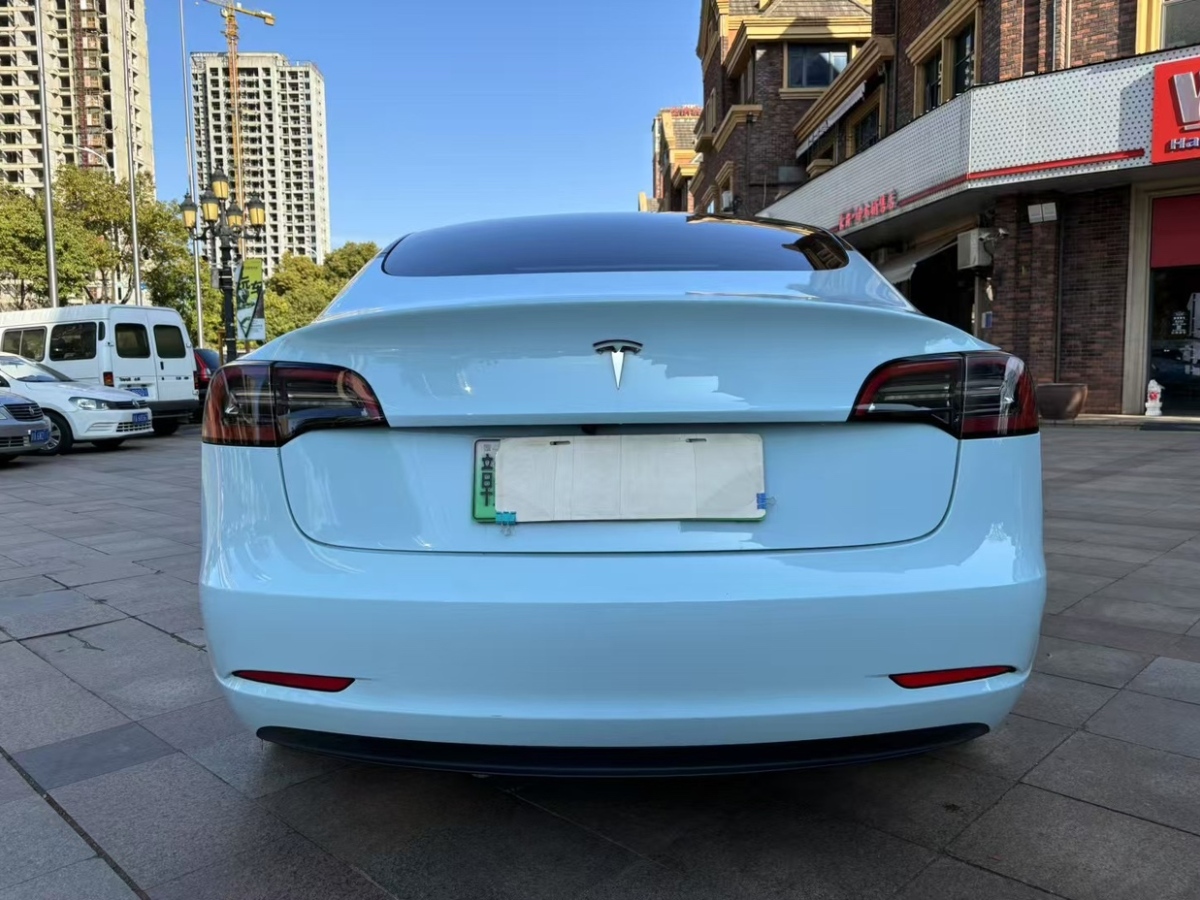 特斯拉 Model 3  2022款 后輪驅(qū)動版圖片