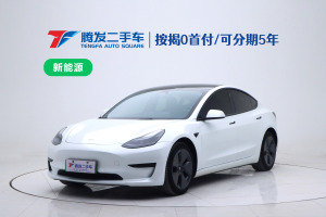 Model Y 特斯拉 改款 后輪驅(qū)動(dòng)版