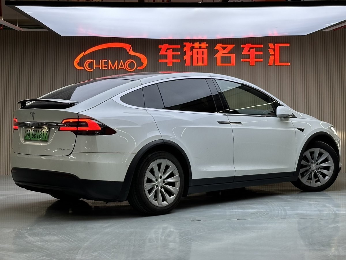 特斯拉 Model X  2019款 長(zhǎng)續(xù)航版圖片