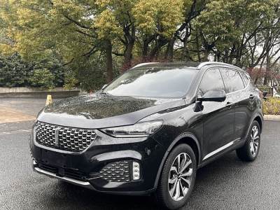 2020年4月 WEY VV6 2.0T 兩驅(qū)智護+圖片