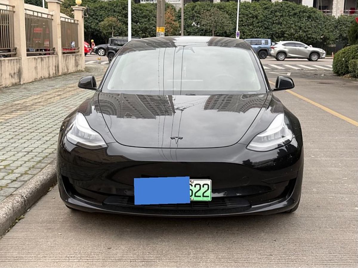 特斯拉 Model 3  2020款 改款 標準續(xù)航后驅升級版圖片