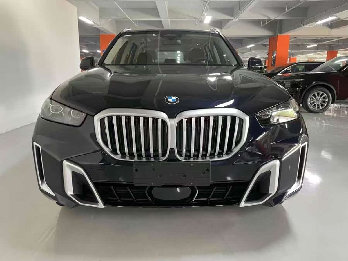 寶馬 寶馬X5  2023款 xDrive 30Li 尊享型M運(yùn)動(dòng)套裝圖片