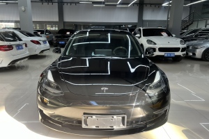 Model Y 特斯拉 Performance高性能全輪驅(qū)動(dòng)版