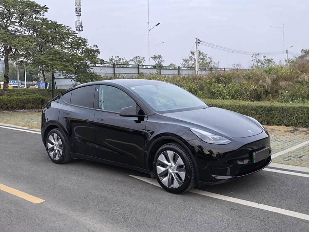 特斯拉 Model 3  2020款 改款 長(zhǎng)續(xù)航后輪驅(qū)動(dòng)版圖片