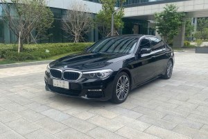 寶馬5系 寶馬 530Li 領(lǐng)先型 M運動套裝