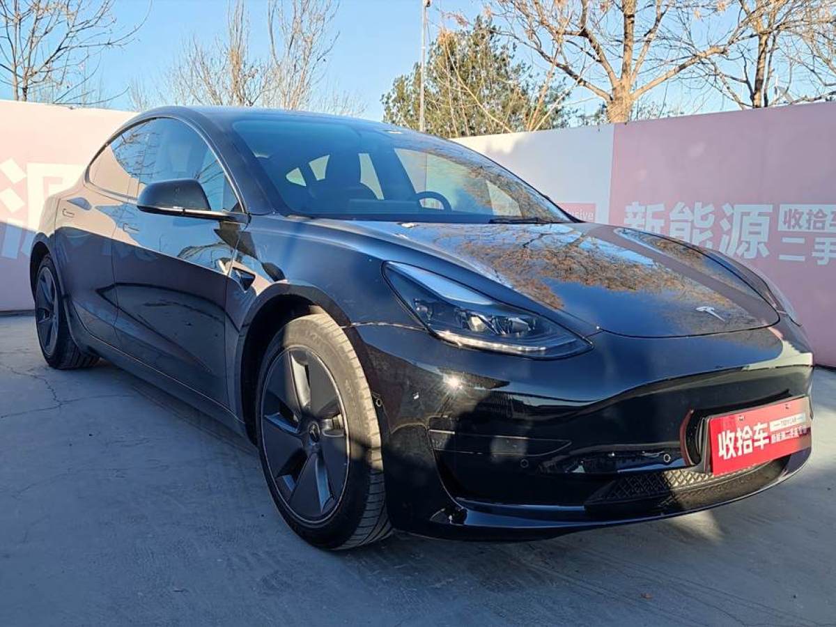 特斯拉 Model 3  2021款 標(biāo)準(zhǔn)續(xù)航后驅(qū)升級(jí)版 3D6圖片