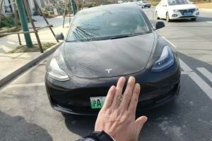 Model 3 特斯拉 Performance高性能全輪驅(qū)動版