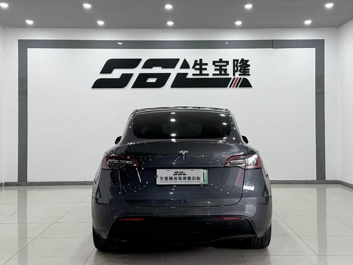 特斯拉 Model 3  2020款 改款 長續(xù)航后輪驅(qū)動(dòng)版圖片