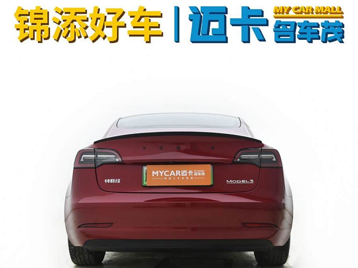 特斯拉 Model 3  2019款 標(biāo)準(zhǔn)續(xù)航后驅(qū)升級(jí)版圖片