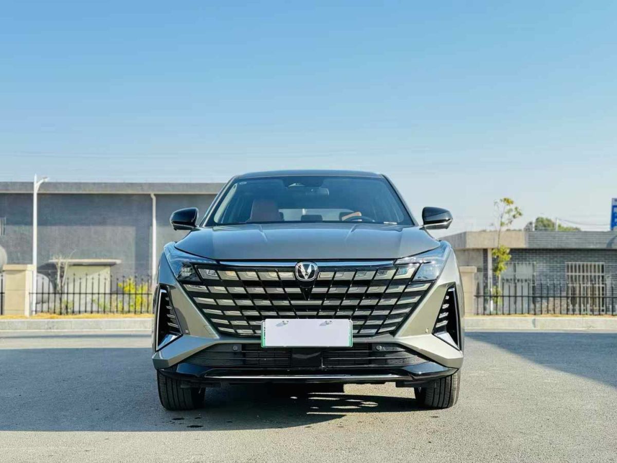 長(zhǎng)安跨越 新豹T3 EV  2024款 單排豪華版 倉(cāng)柵車圖片