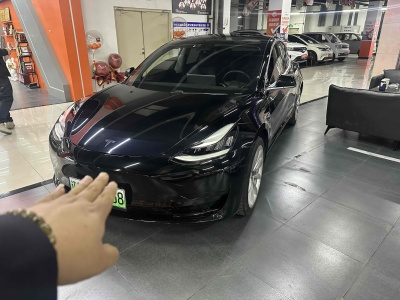 2020年6月 特斯拉 Model 3 標(biāo)準(zhǔn)續(xù)航后驅(qū)升級版圖片