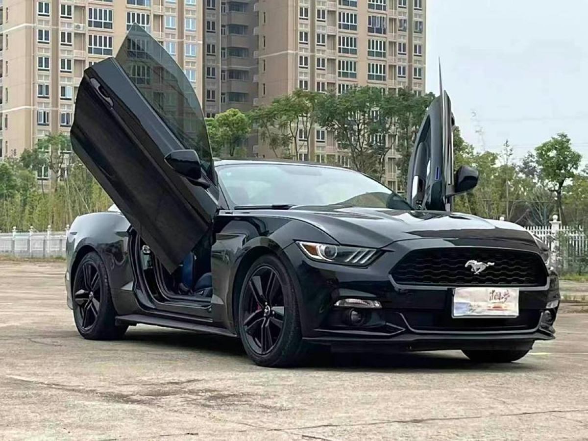 福特 Mustang  2015款 2.3T 性能版圖片