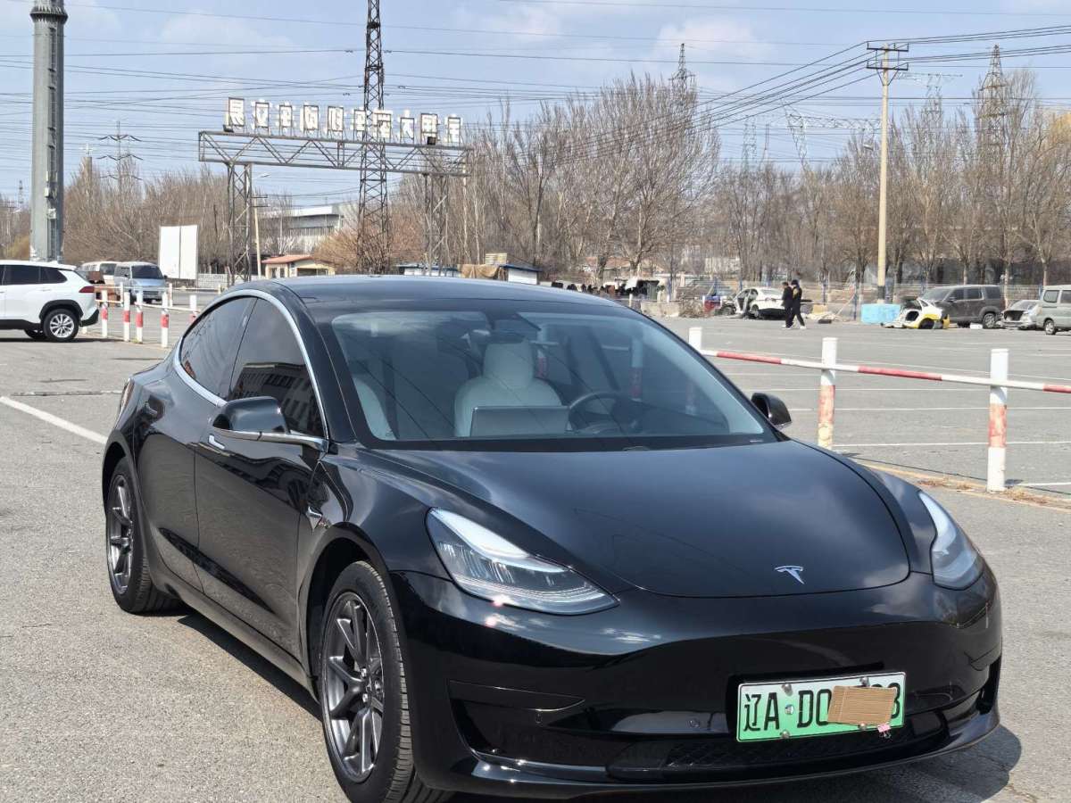 2020年6月特斯拉 Model 3  2020款 標(biāo)準(zhǔn)續(xù)航后驅(qū)升級(jí)版