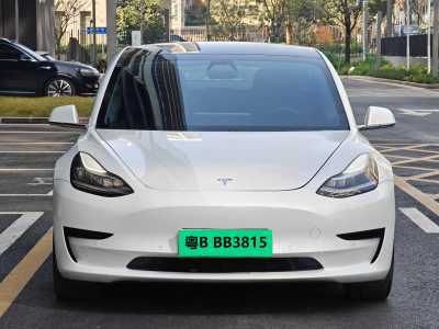 2020年11月 特斯拉 Model 3 標準續(xù)航后驅(qū)升級版圖片