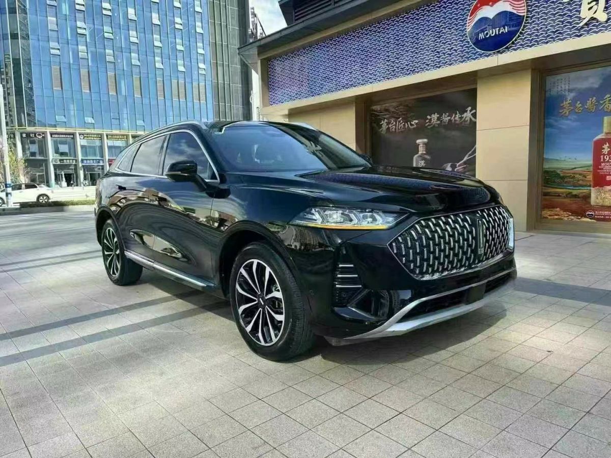 長(zhǎng)城 摩卡DHT-PHEV  2022款 1.5T 0焦慮性能版圖片