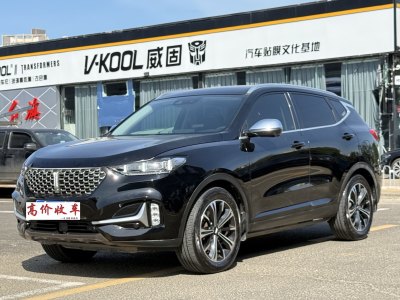 2021年7月 WEY VV6 2.0T 兩驅(qū)智護(hù)+圖片