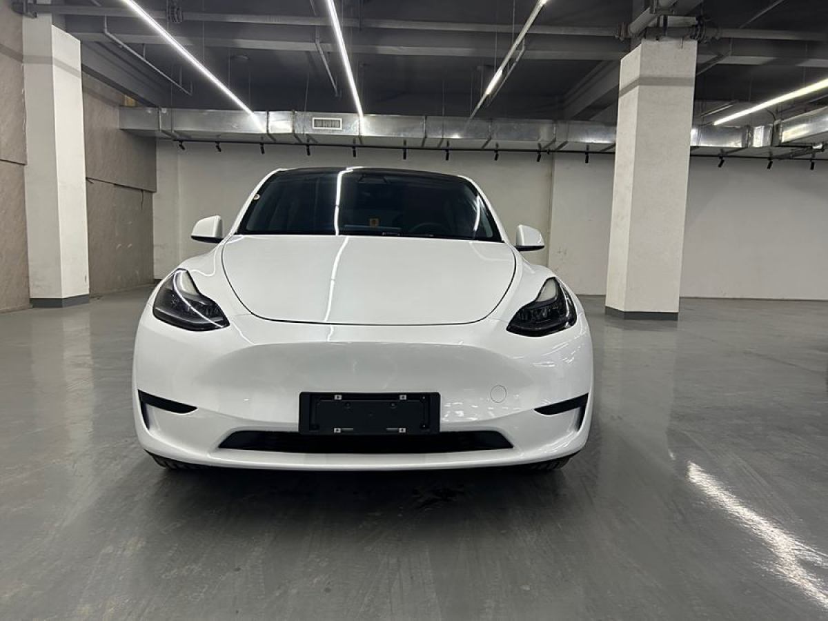 特斯拉 Model 3  2020款 改款 長(zhǎng)續(xù)航后輪驅(qū)動(dòng)版圖片