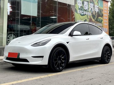 2022年1月 特斯拉 Model Y 长续航焕新版 双电机全轮驱动图片